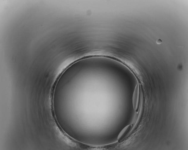 X0000090780998200707271545