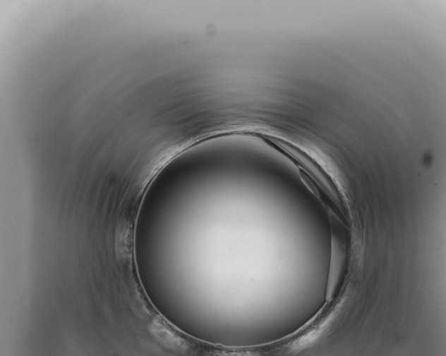 X0000090781001200707271545