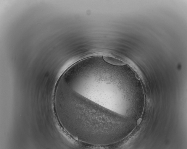 X0000090781002200707271545