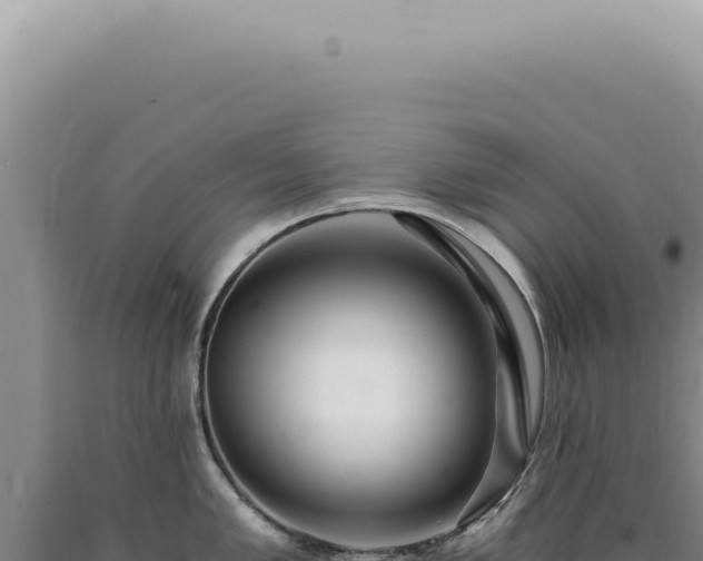 X0000090781005200707271545