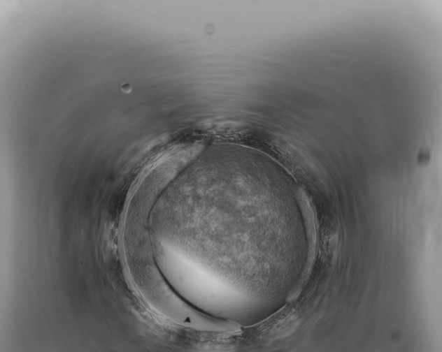 X0000090781010200707271544