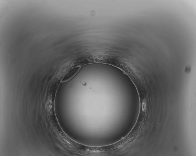 X0000090781011200707271544