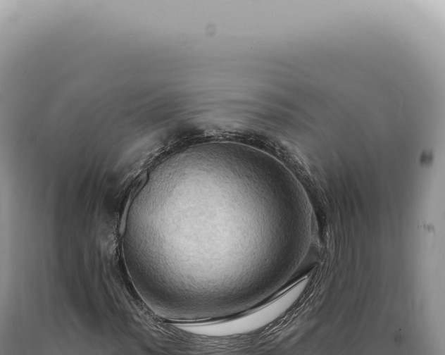 X0000090781012200707271544