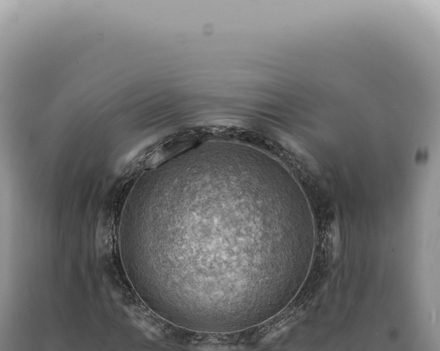 X0000090781014200707271544