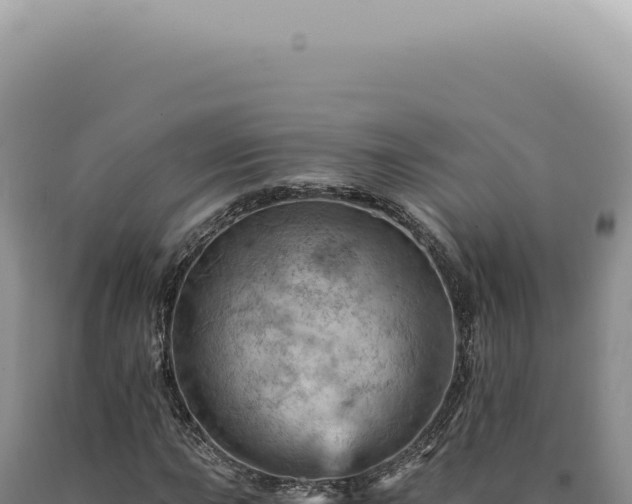 X0000090781015200707271544