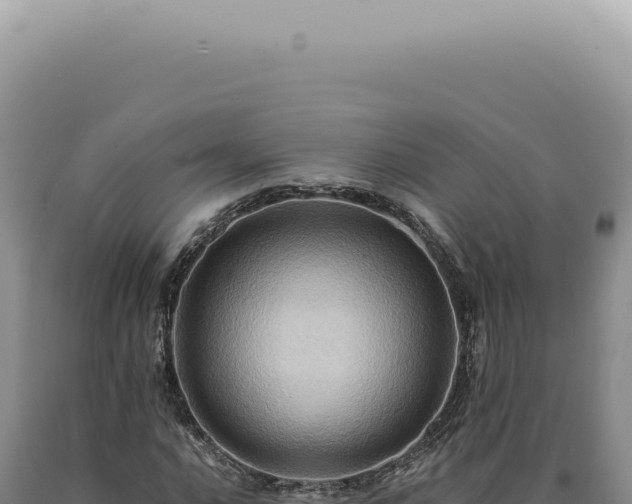 X0000090781016200707271544