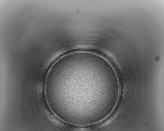 X0000090781017200707271544