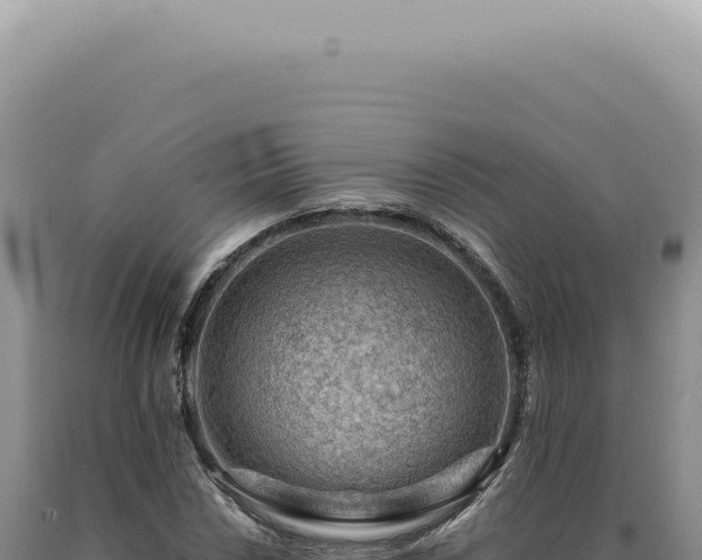 X0000090781018200707271544