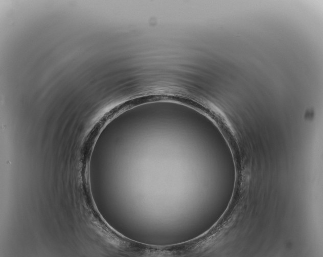 X0000090781019200707271544