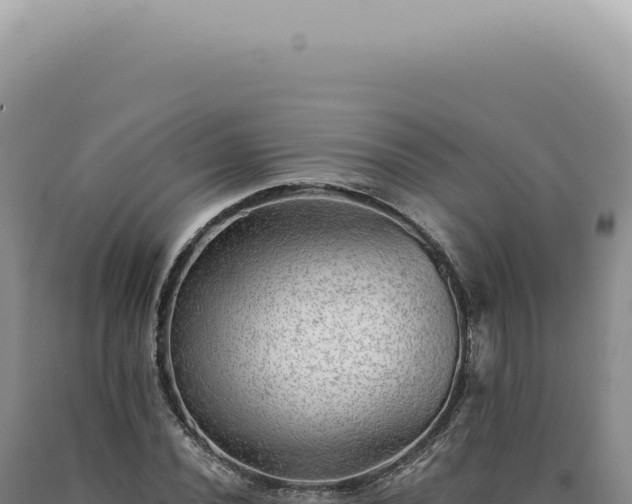 X0000090781020200707271545