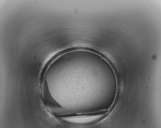 X0000090781022200707271545