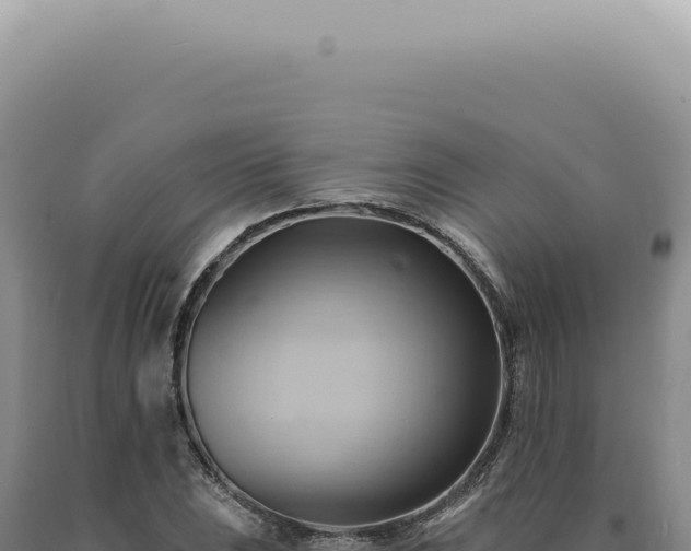 X0000090781023200707271545