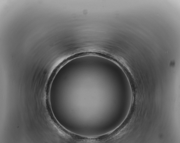 X0000090781024200707271545