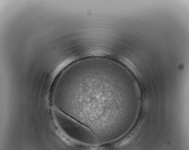 X0000090781026200707271545