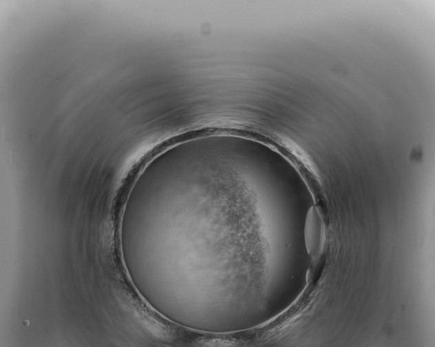 X0000090781027200707271545