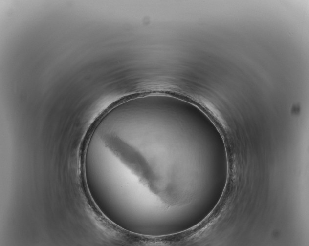 X0000090781031200707271545