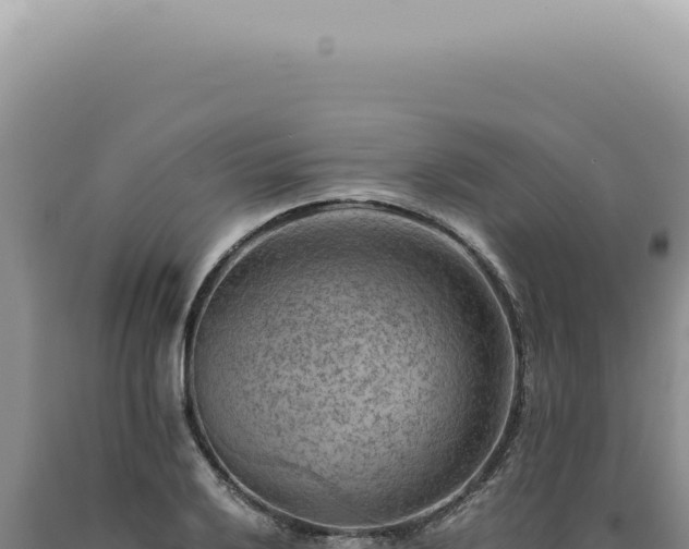 X0000090781032200707271545