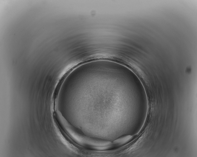 X0000090781034200707271545