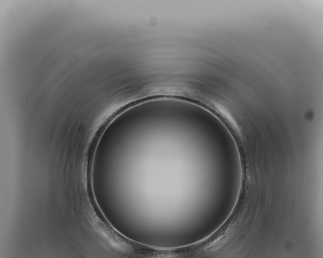 X0000090781035200707271545