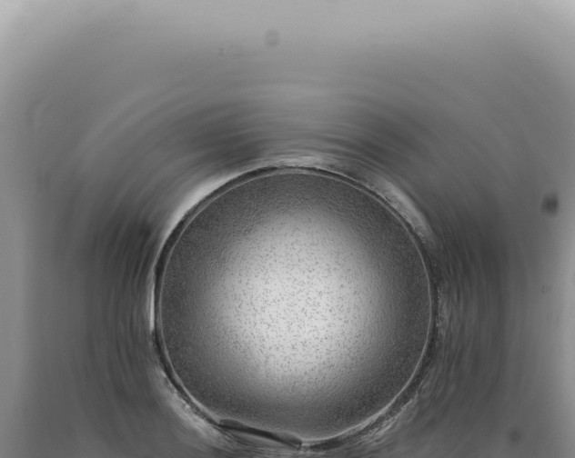 X0000090781036200707271545