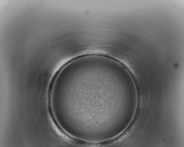 X0000090781038200707271545
