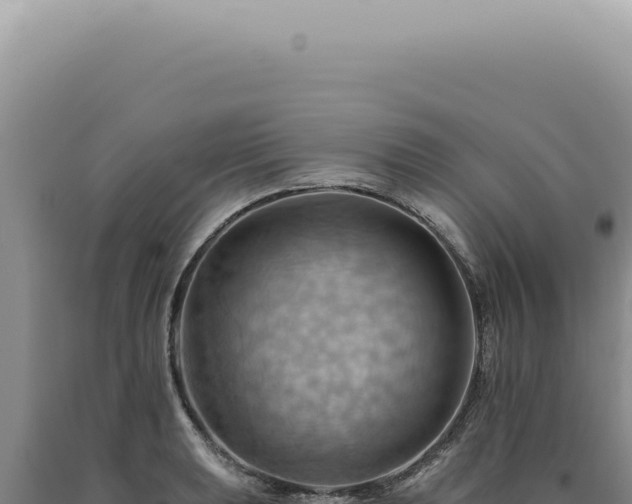 X0000090781039200707271545