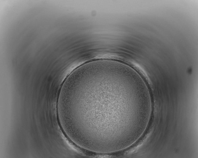 X0000090781041200707271545