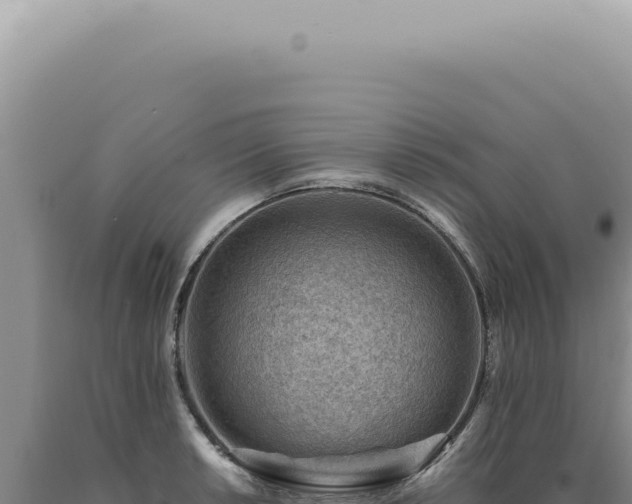 X0000090781042200707271545