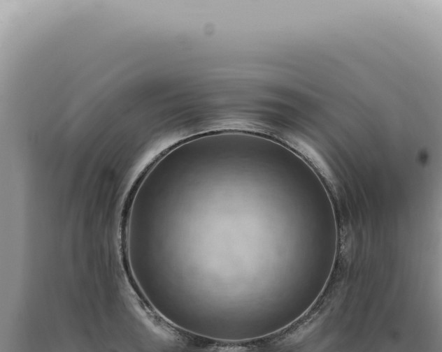 X0000090781043200707271545