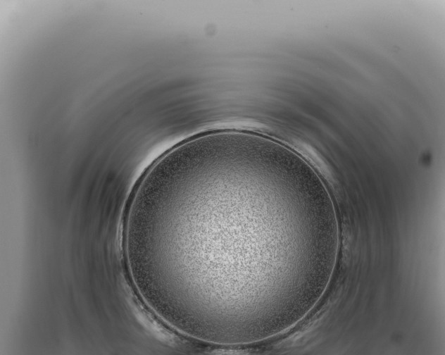 X0000090781044200707271545