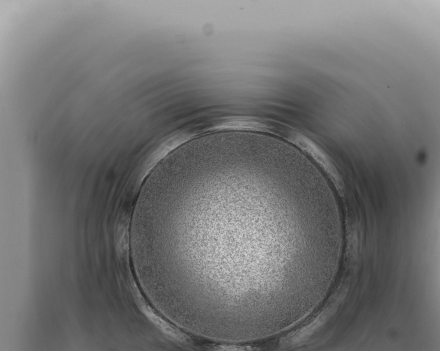 X0000090781049200707271545
