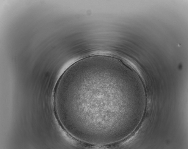X0000090781050200707271545