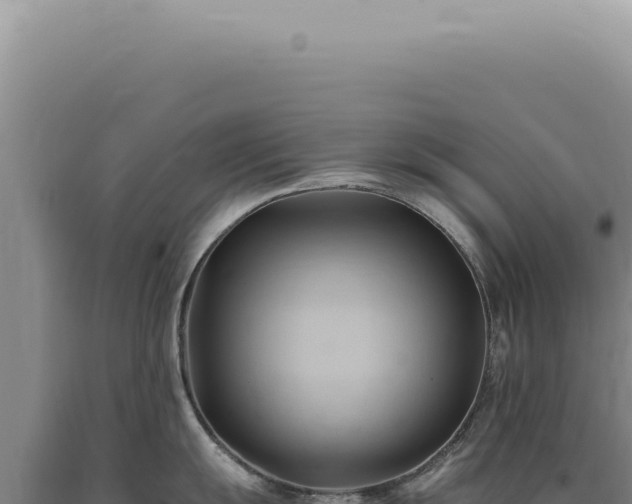 X0000090781055200707271545