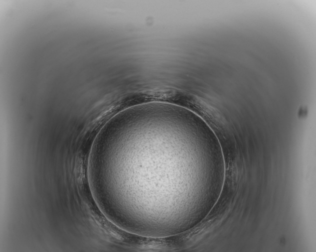 X0000090781058200707271544