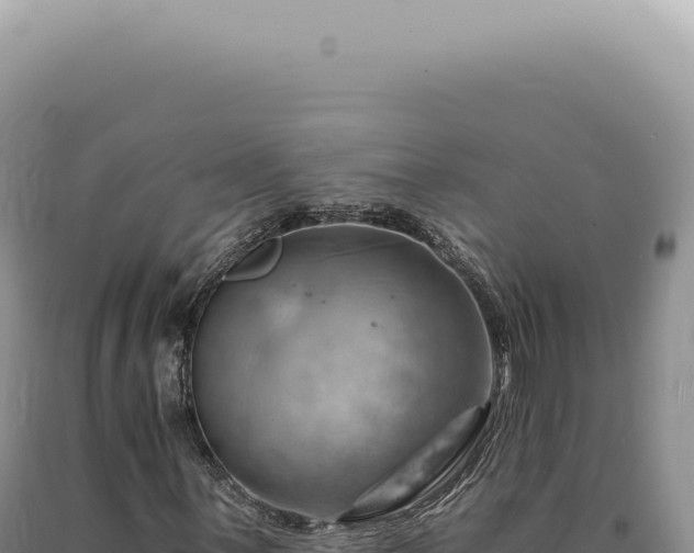 X0000090781059200707271544