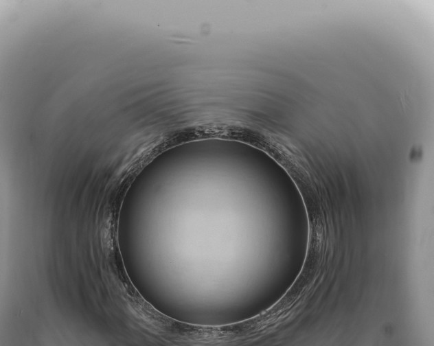 X0000090781060200707271544