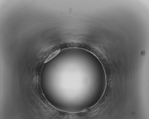 X0000090781061200707271544
