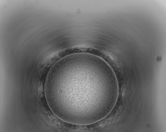X0000090781062200707271544