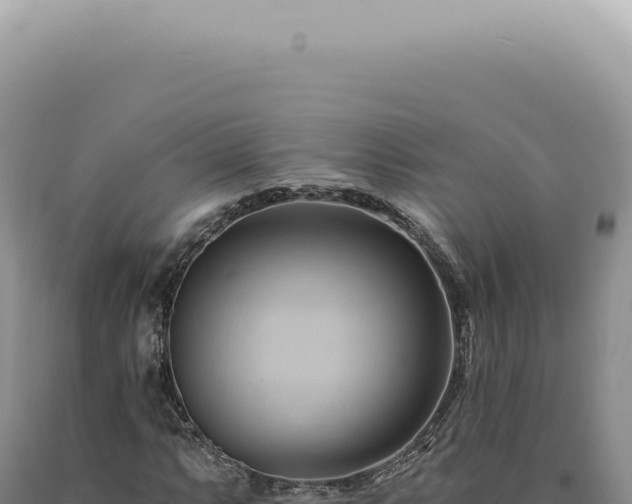 X0000090781063200707271544