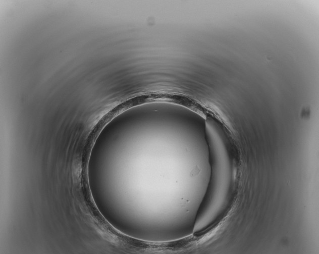 X0000090781065200707271544