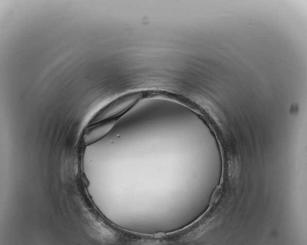 X0000090781069200707271544