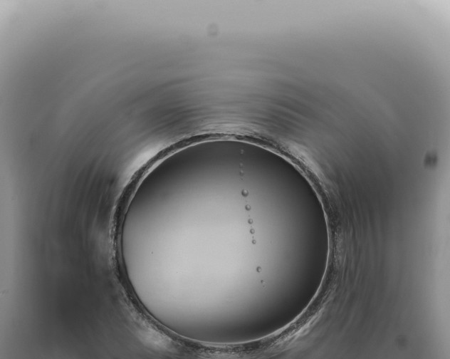 X0000090781071200707271544
