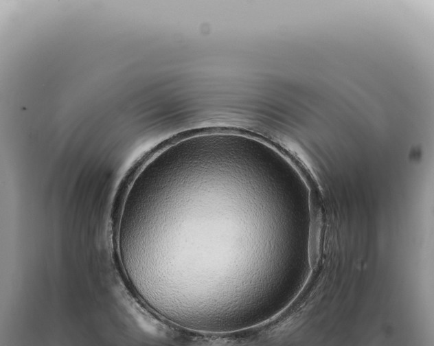 X0000090781072200707271544