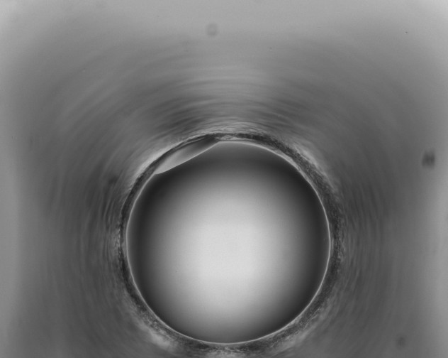 X0000090781073200707271544