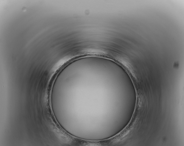 X0000090781074200707271544