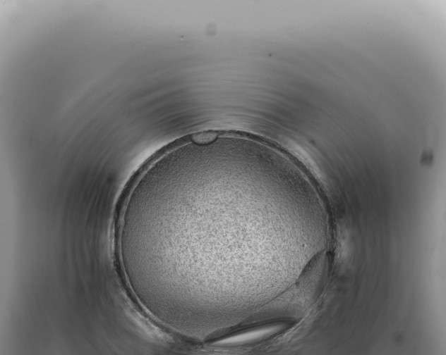 X0000090781076200707271544