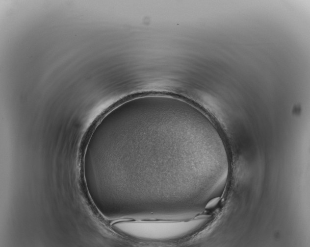 X0000090781077200707271544