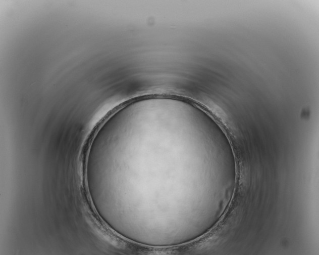 X0000090781078200707271544