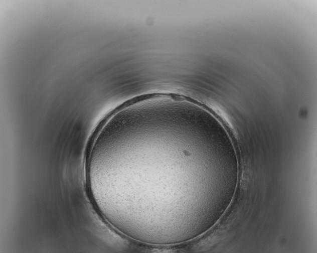 X0000090781080200707271544