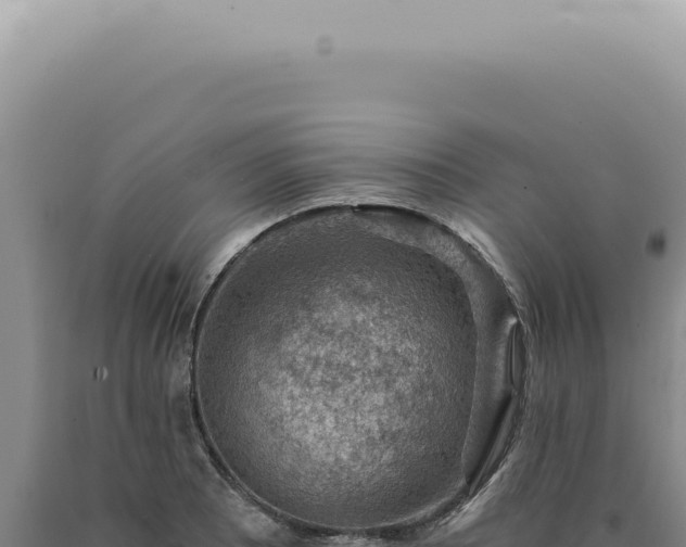 X0000090781081200707271544